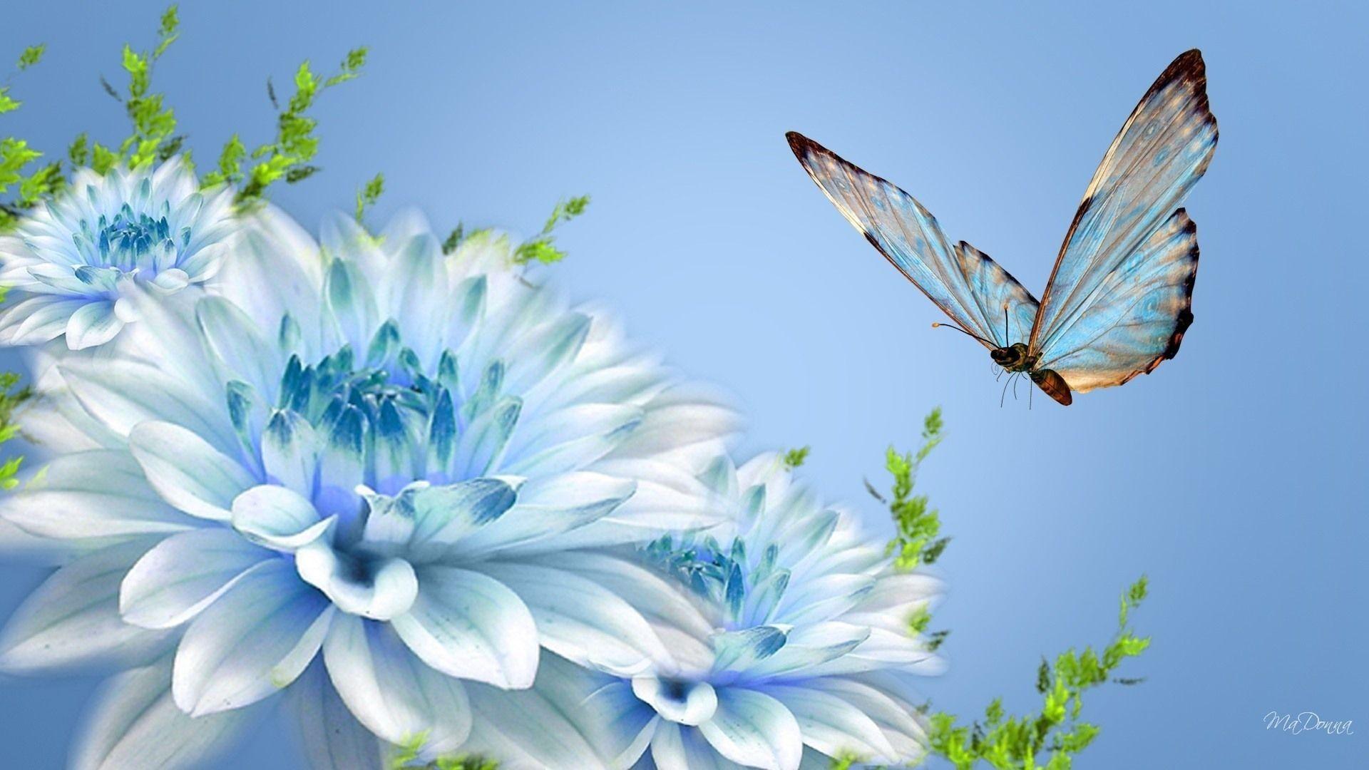 Fresh Flowers Blue Butterfly Wallpaper
