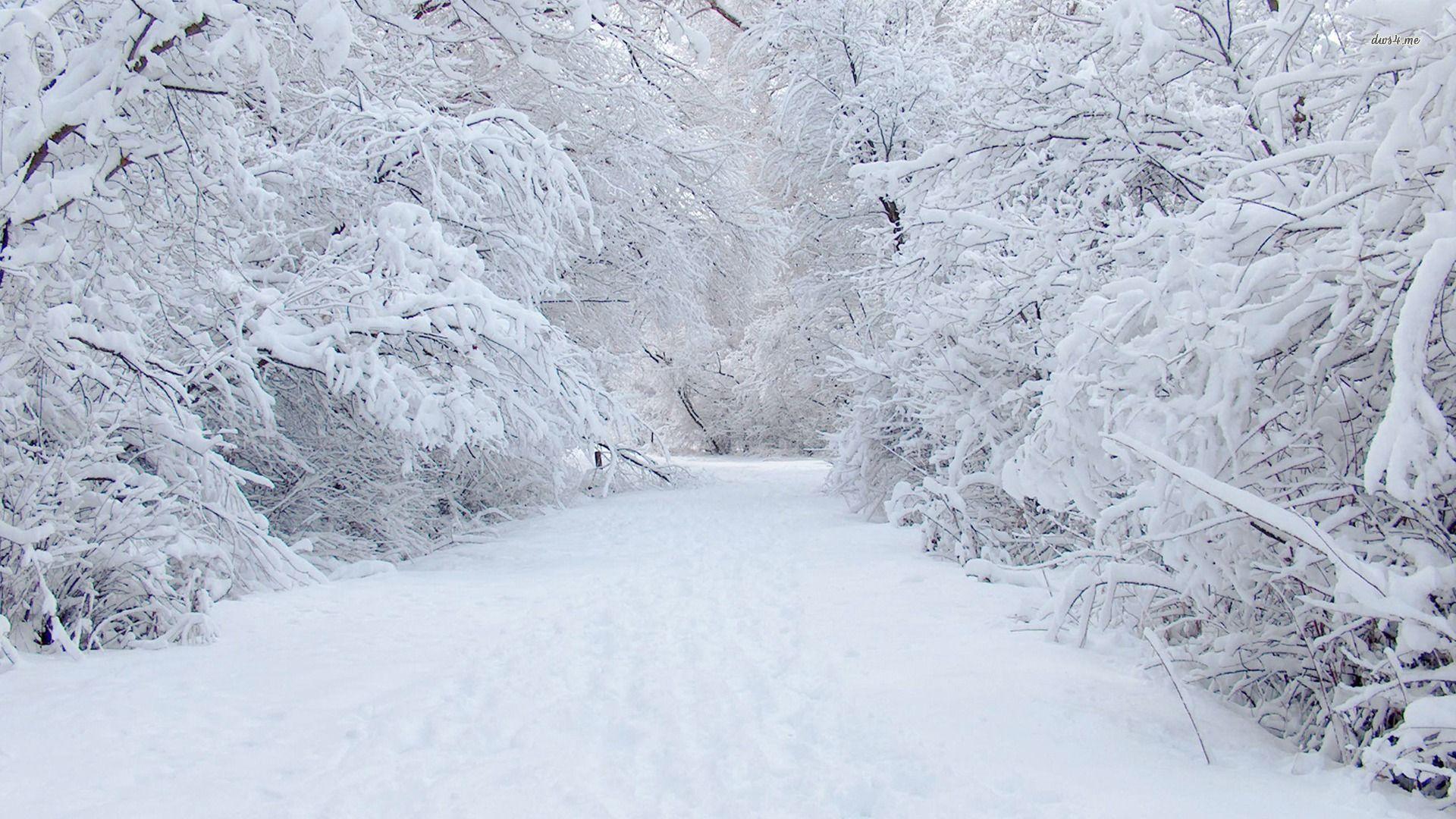 snow-storm-wallpapers-wallpaper-cave