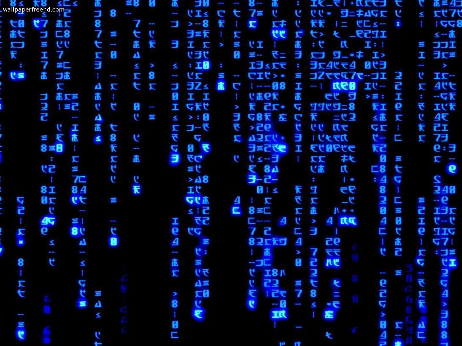 Matrix Blue Binary Code HD Wallpaper. High Definition Wallpaper