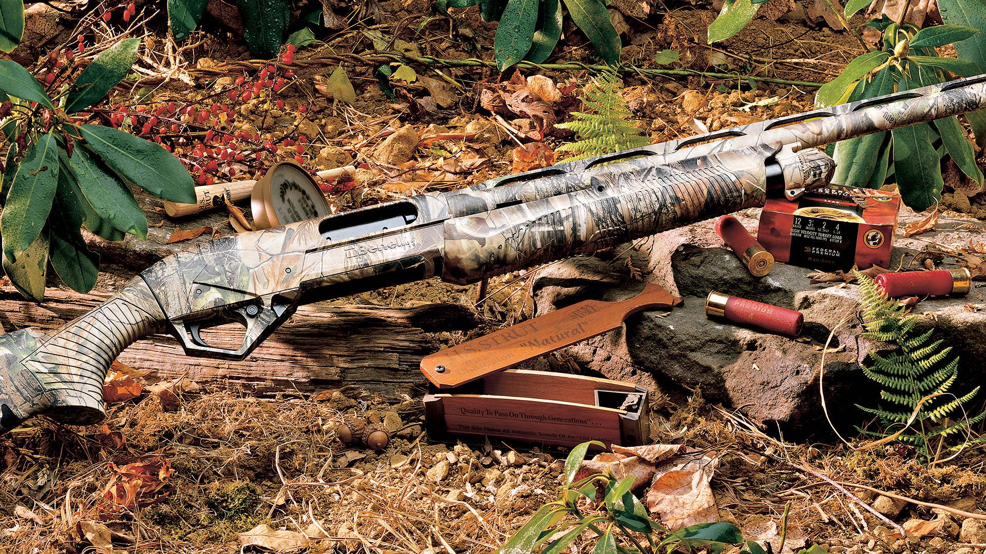 Wallpaper shotgun, benelli, vinci, cartridges, forest, grass