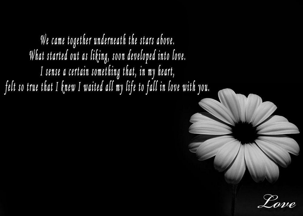 Dark Flowers Background Romantic Love Quotes and Sayings from
