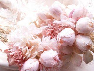 image For > White Peonies Wallpaper