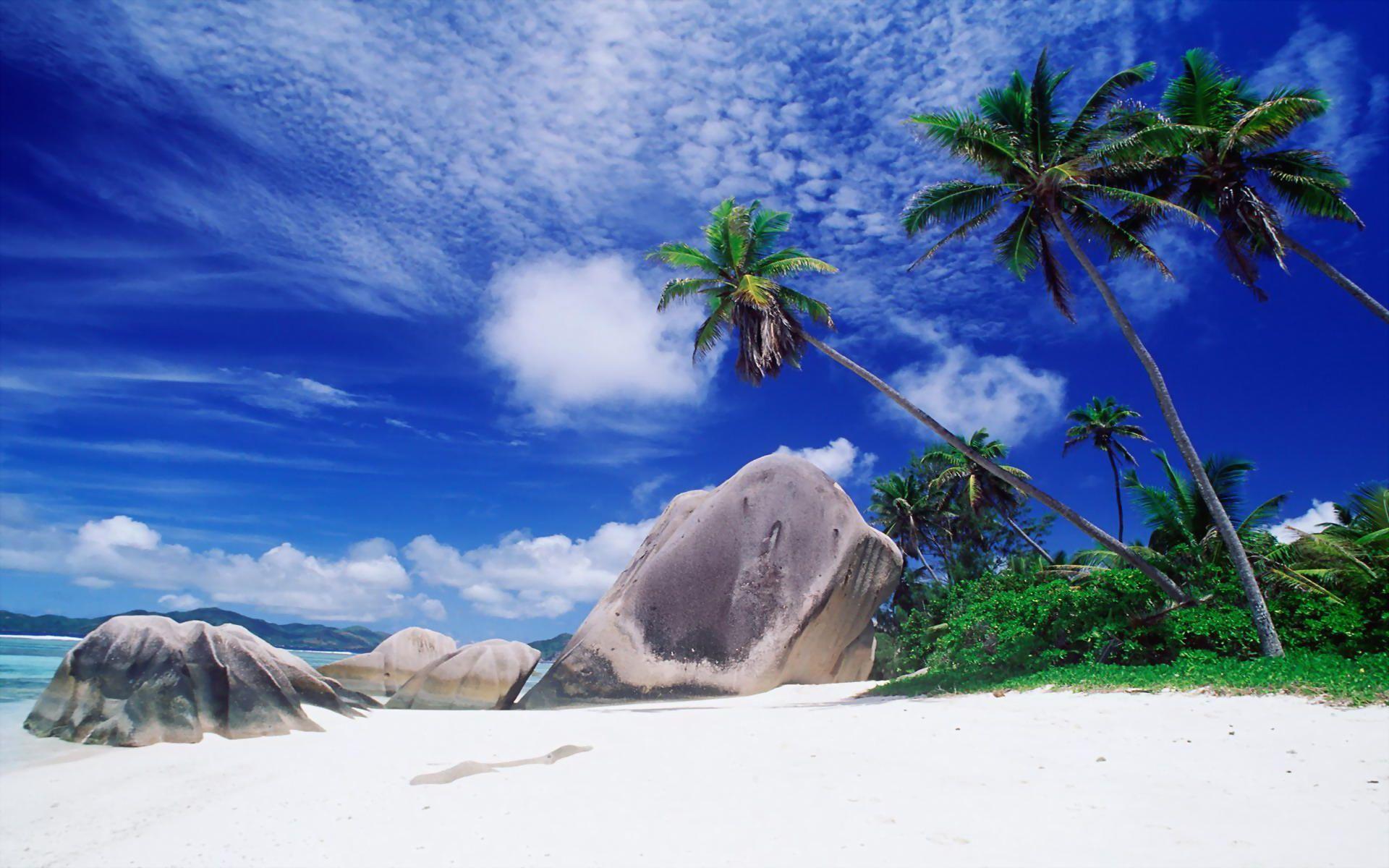 White Sandy Beach Seychelles Wallpaper HD Wallpaper