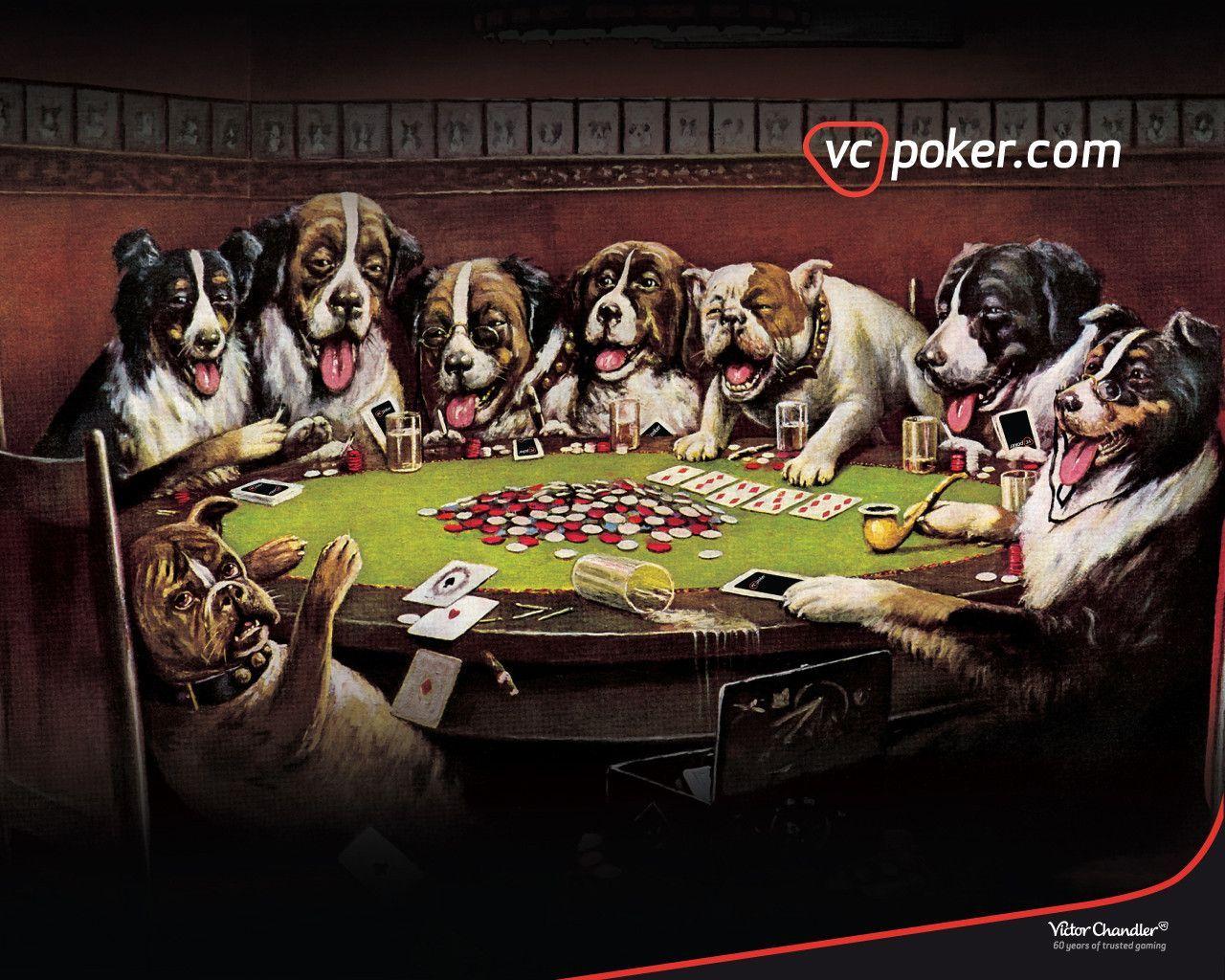 Bet Victor Poker