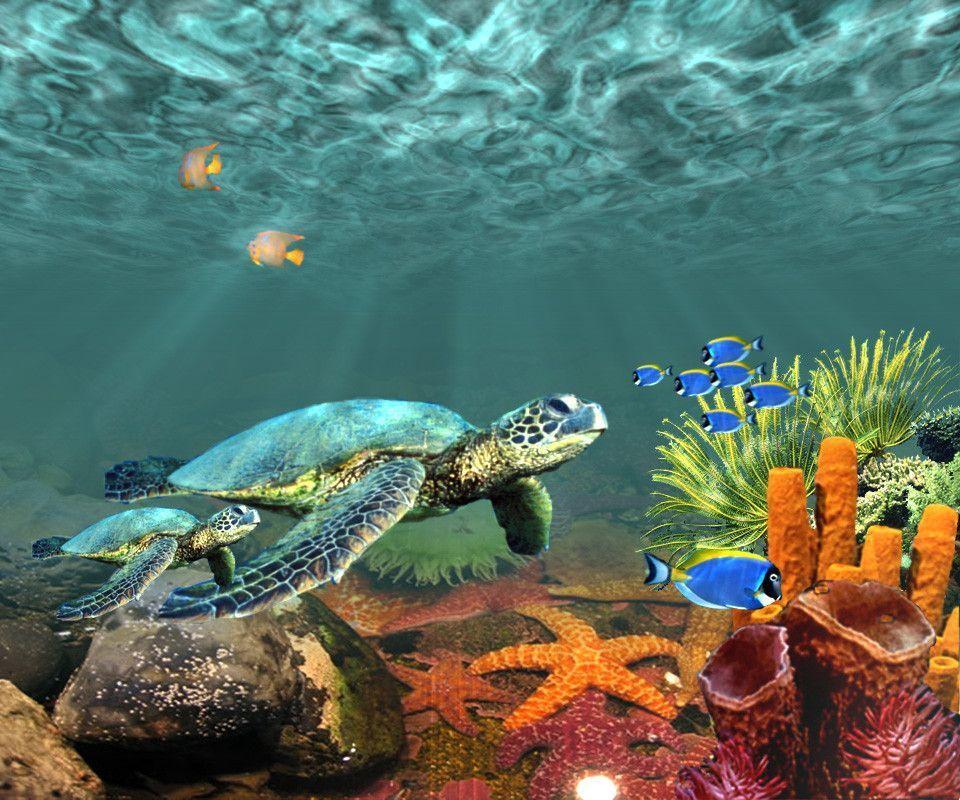 Underwater Desktop Wallpaper. coolstyle wallpaper