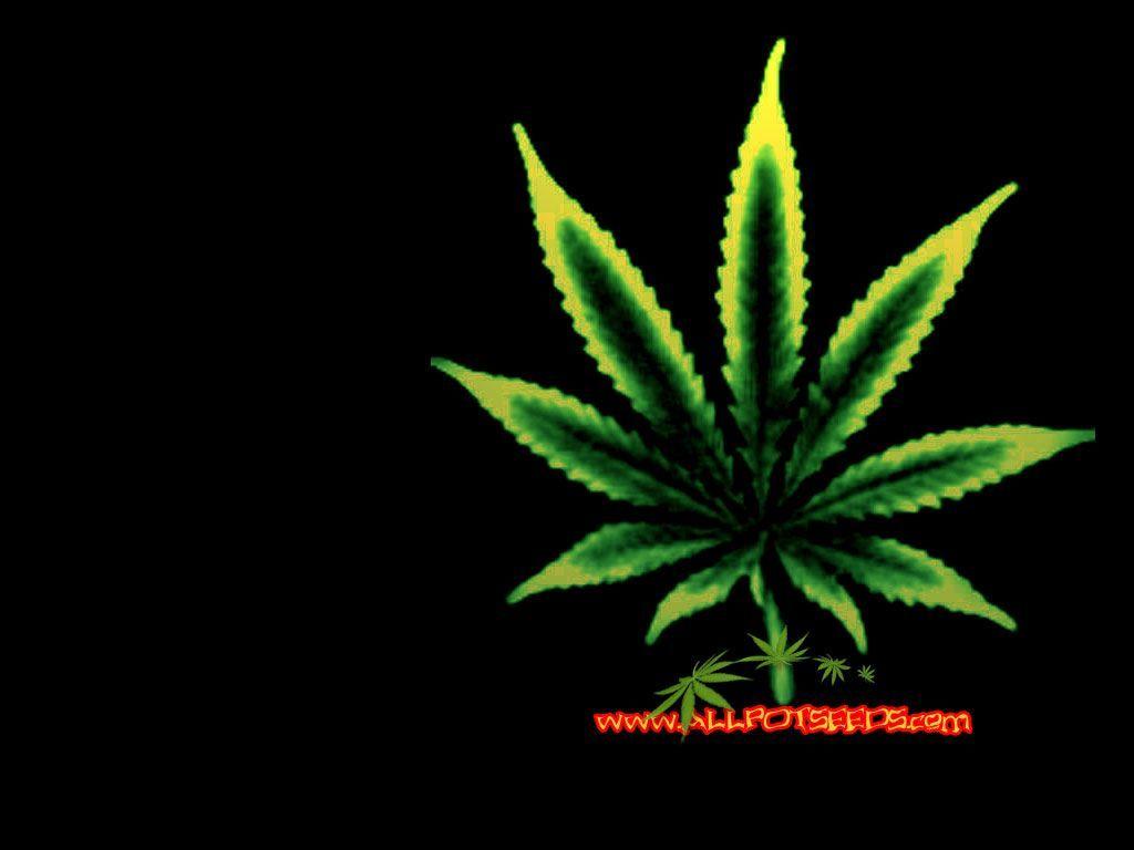 Outstanding Weed Pics Background Marijuana Free Desktop
