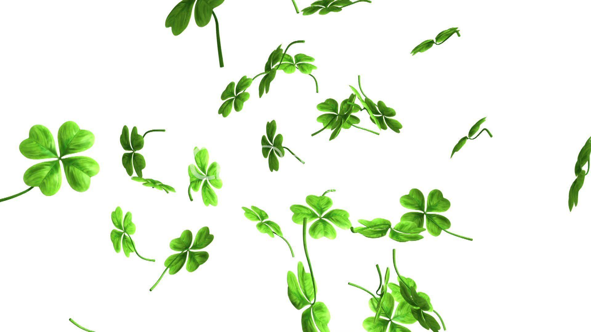 Falling Shamrock Leaves: Royalty Free Video And Stock Footage