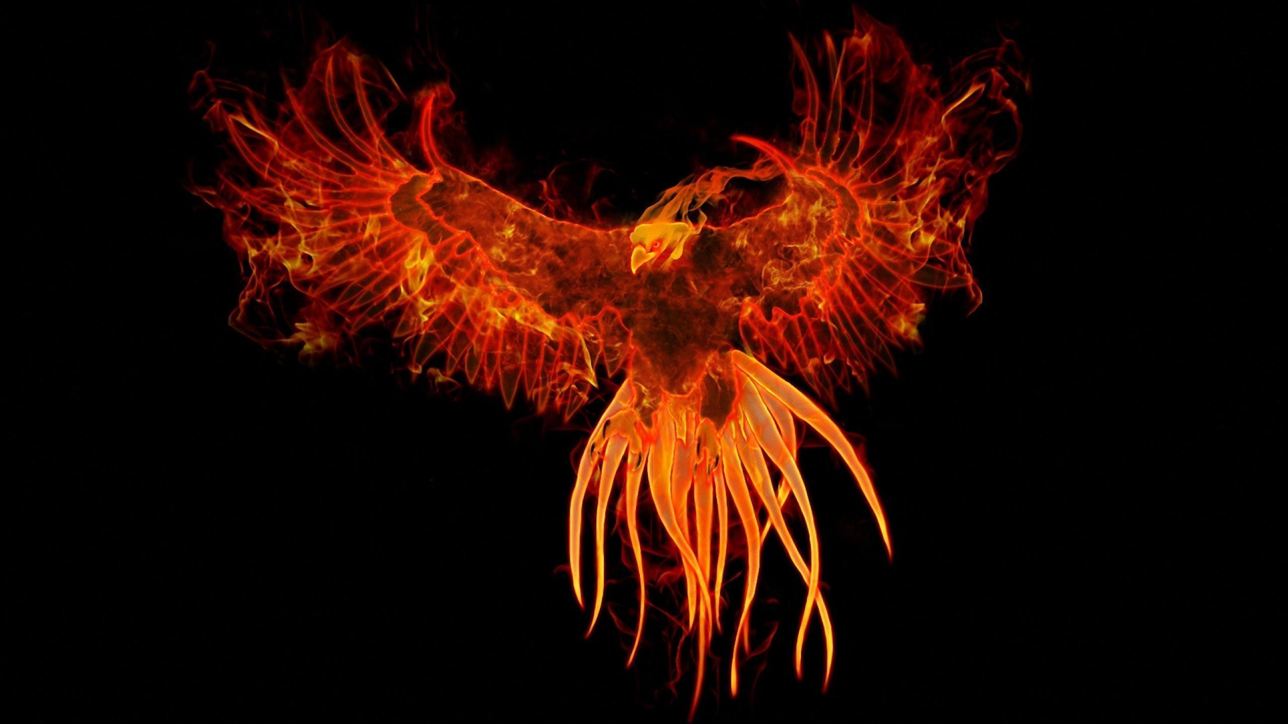 Phoenix Bird Wallpapers - Wallpaper Cave