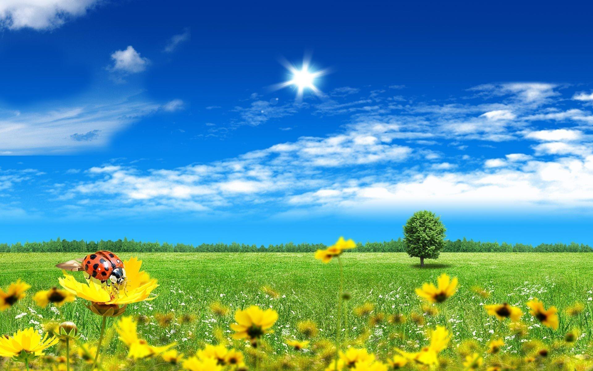 image For > Beautiful Sunny Day Wallpaper