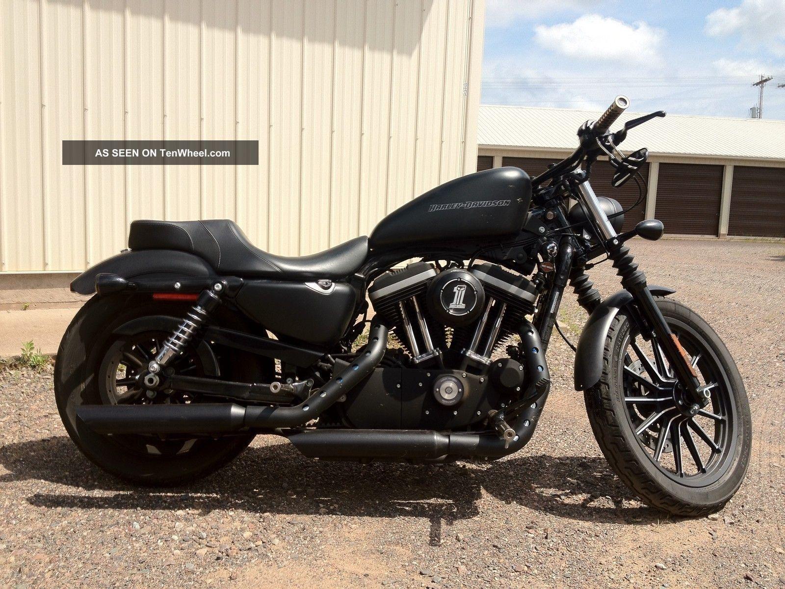 883 Sportster Black Denim Custom Davidson Motorcycle
