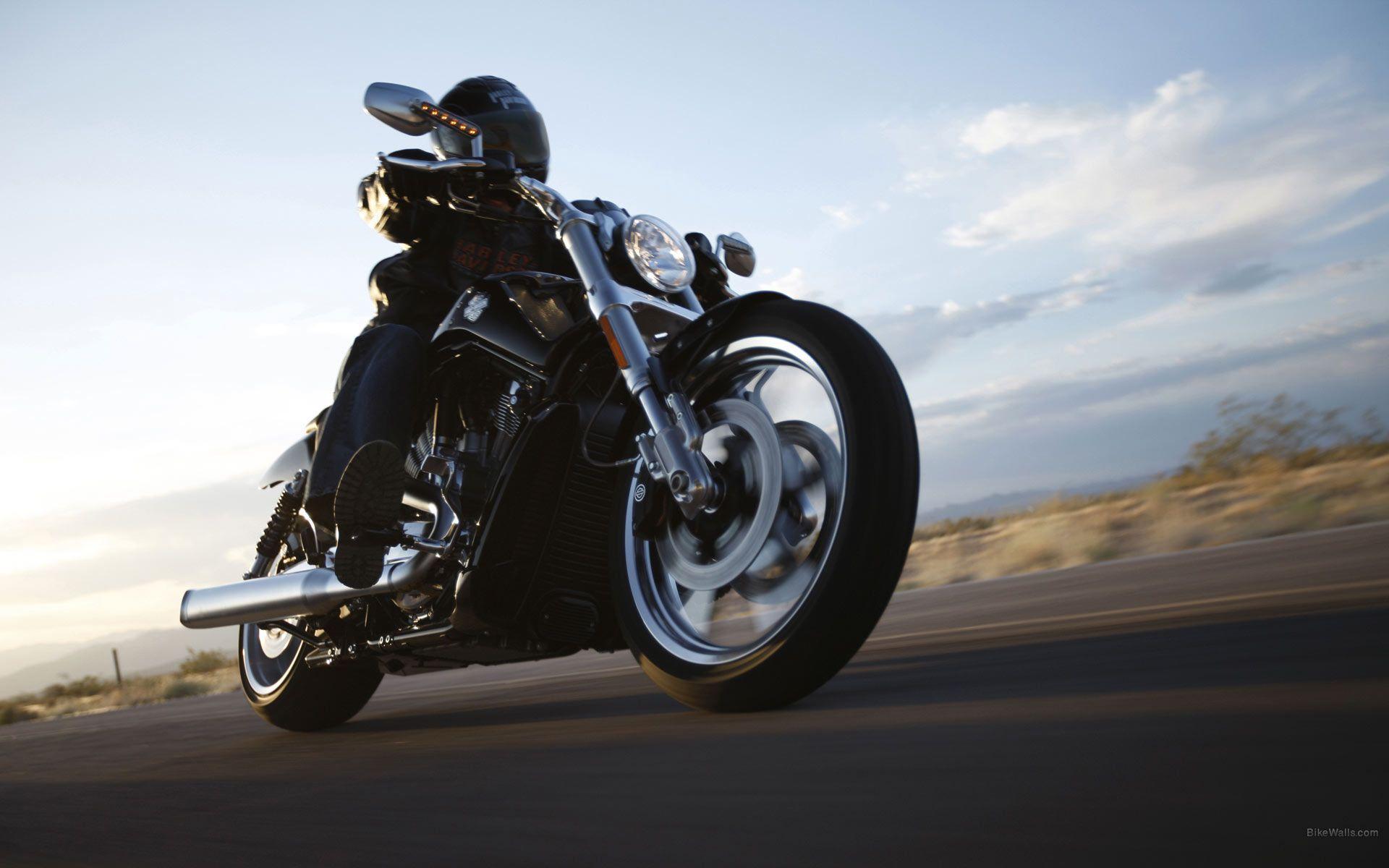 Harley Davidson V Rod Muscle