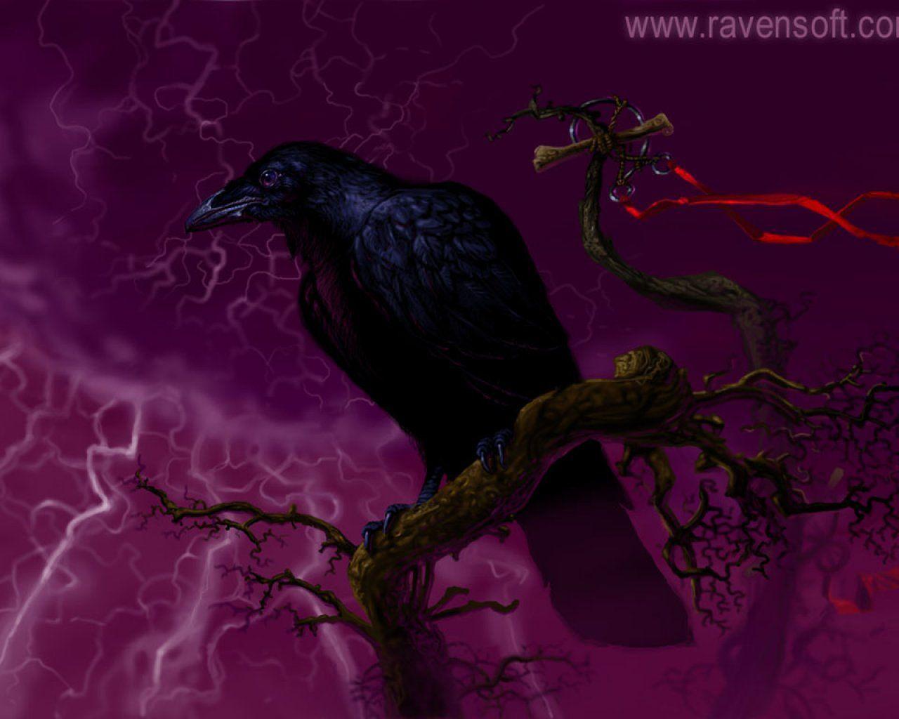 Raven Wallpaper Raven Wallpaper Desktop
