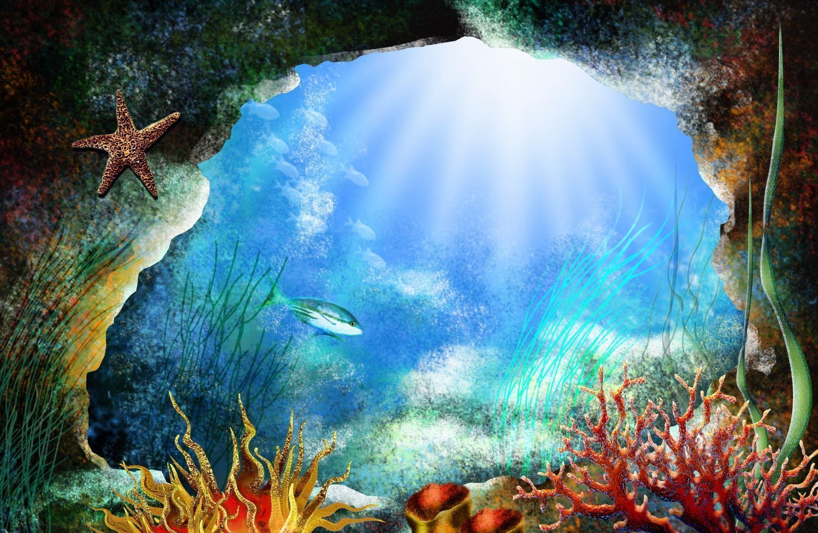 Sea Life Computer Wallpaper, Desktop Background 1600x1043 Id: 236248