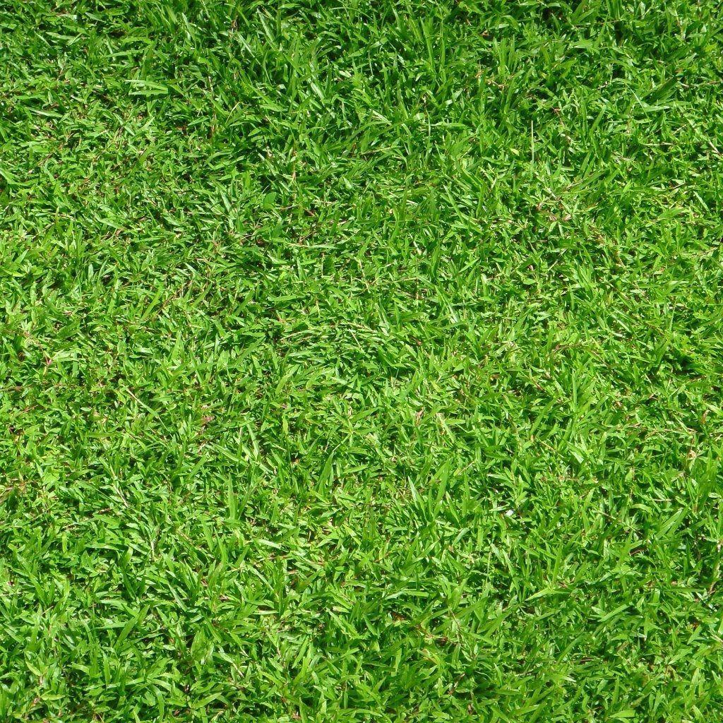 Green Grass Wallpaper For Desktop