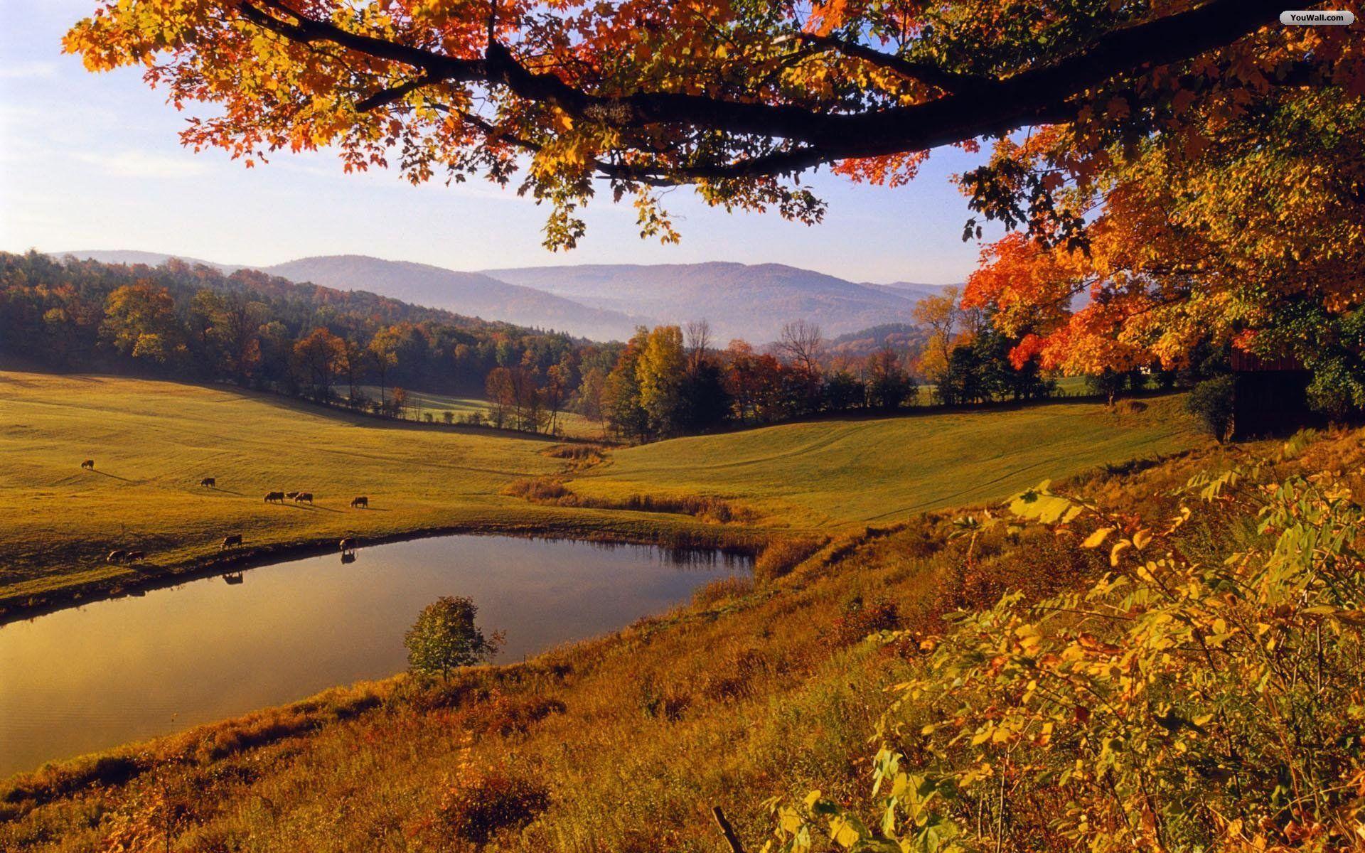 Wallpaper For > Beautiful Fall Landscape Wallpaper