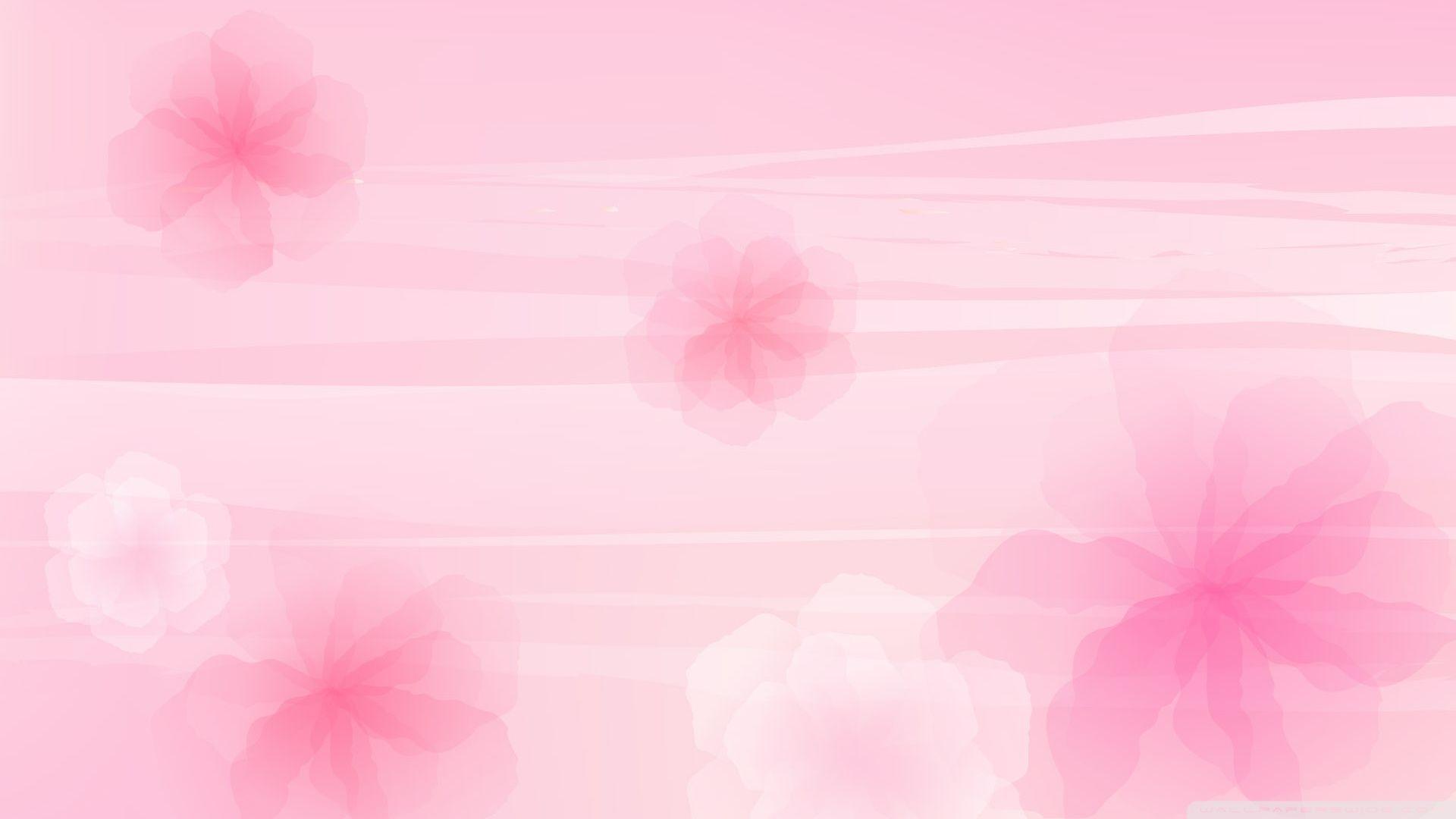 Download Pink Flowers Background 2 Wallpaper 1920x1080