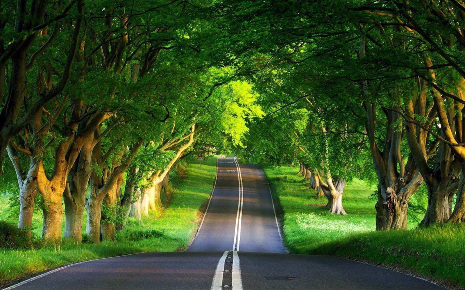 Download Cool Beautiful Nature Road Wallpaper. Full HD Wallpaper