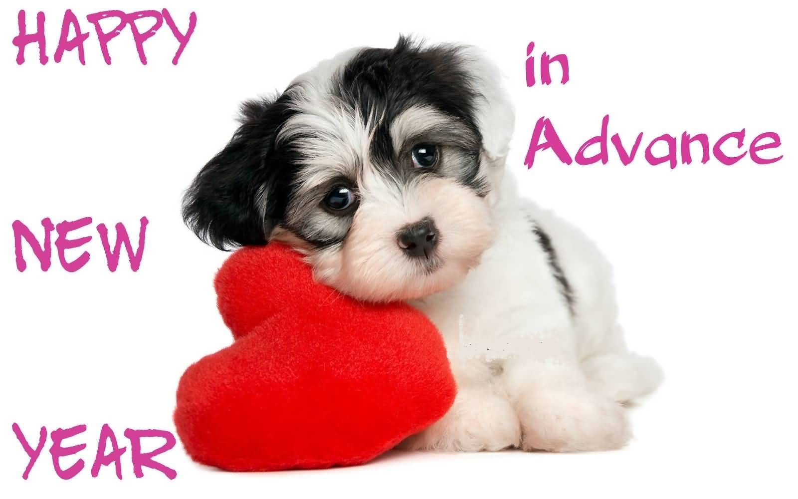 Cute Puppy Dog With Love Heart Wishing You Happy New Year 2016
