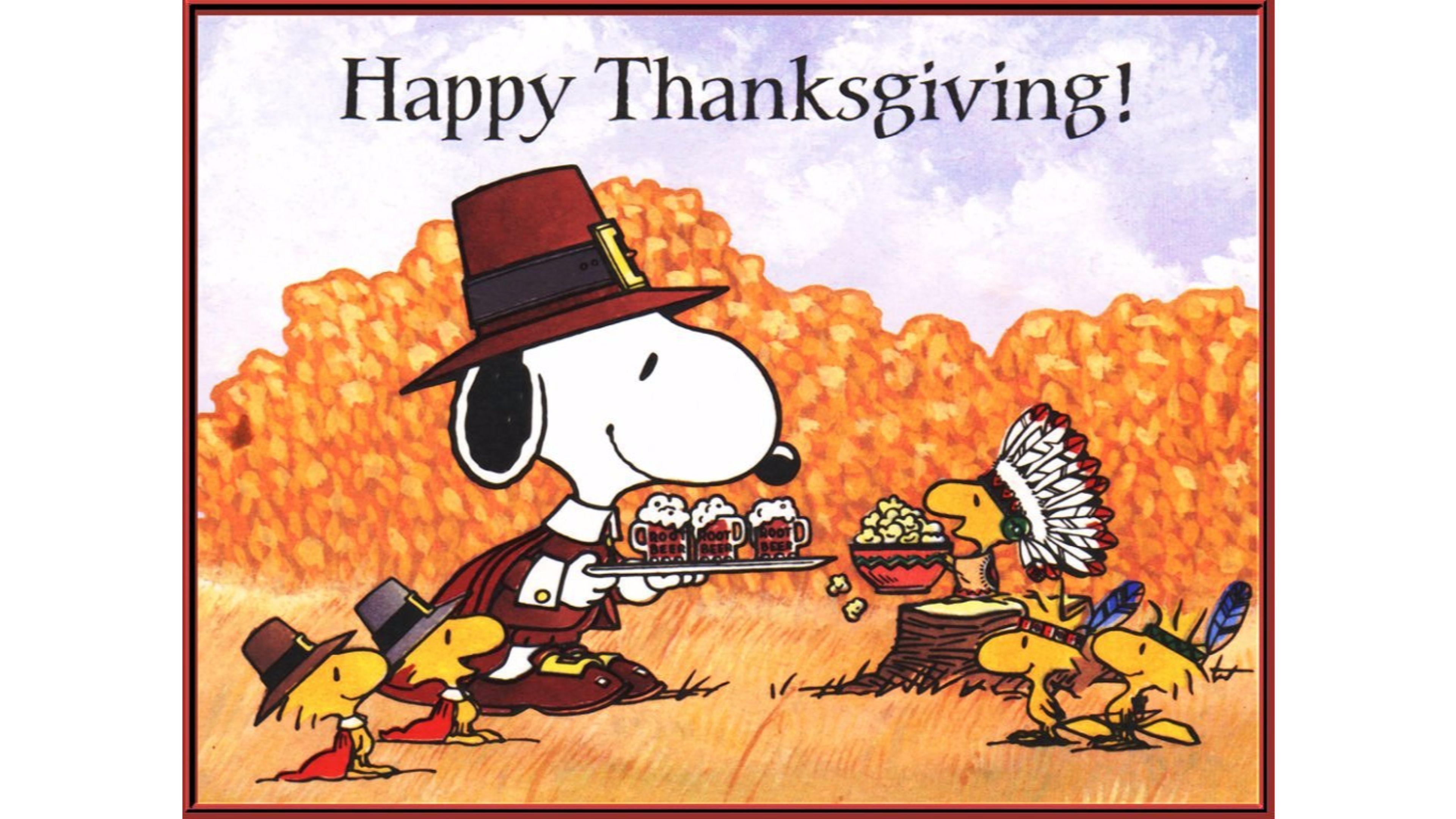 Snoopy 2016 Thanksgiving 4K Wallpaper. Free 4K Wallpaper