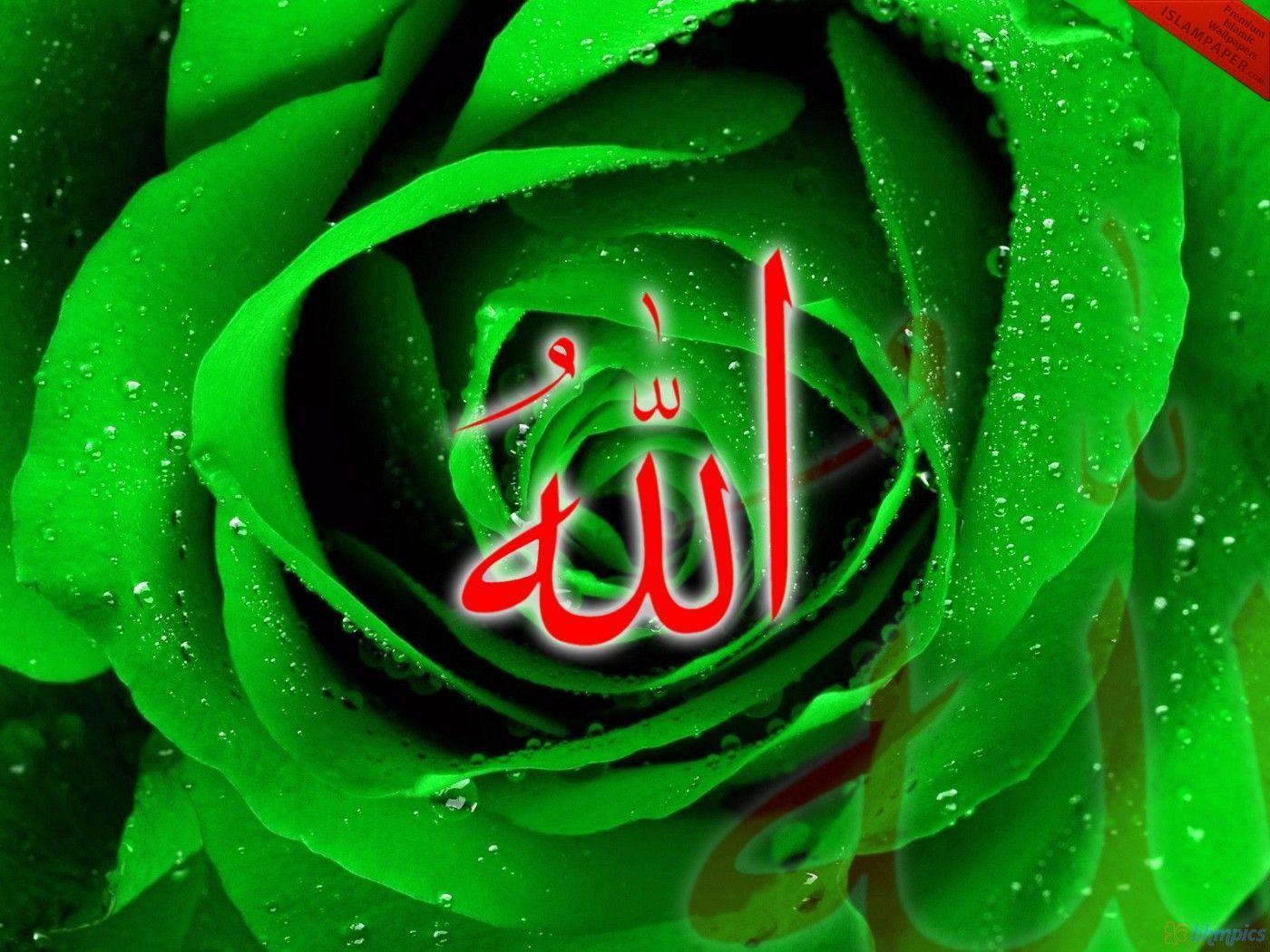 Red Allah Wallpaper Amazing Green Rose Hd Wallpaper