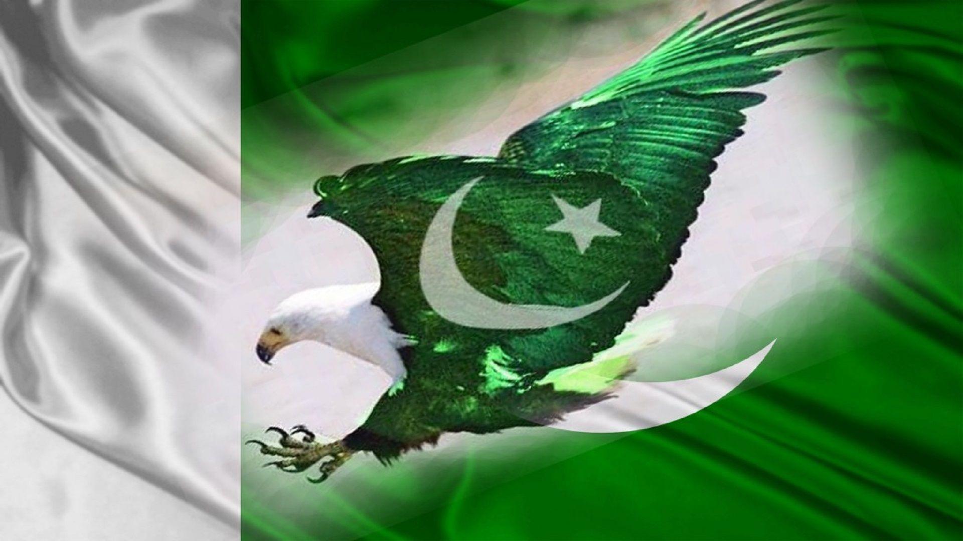Eagle Pakistani Flag Wallpaper Free Hd