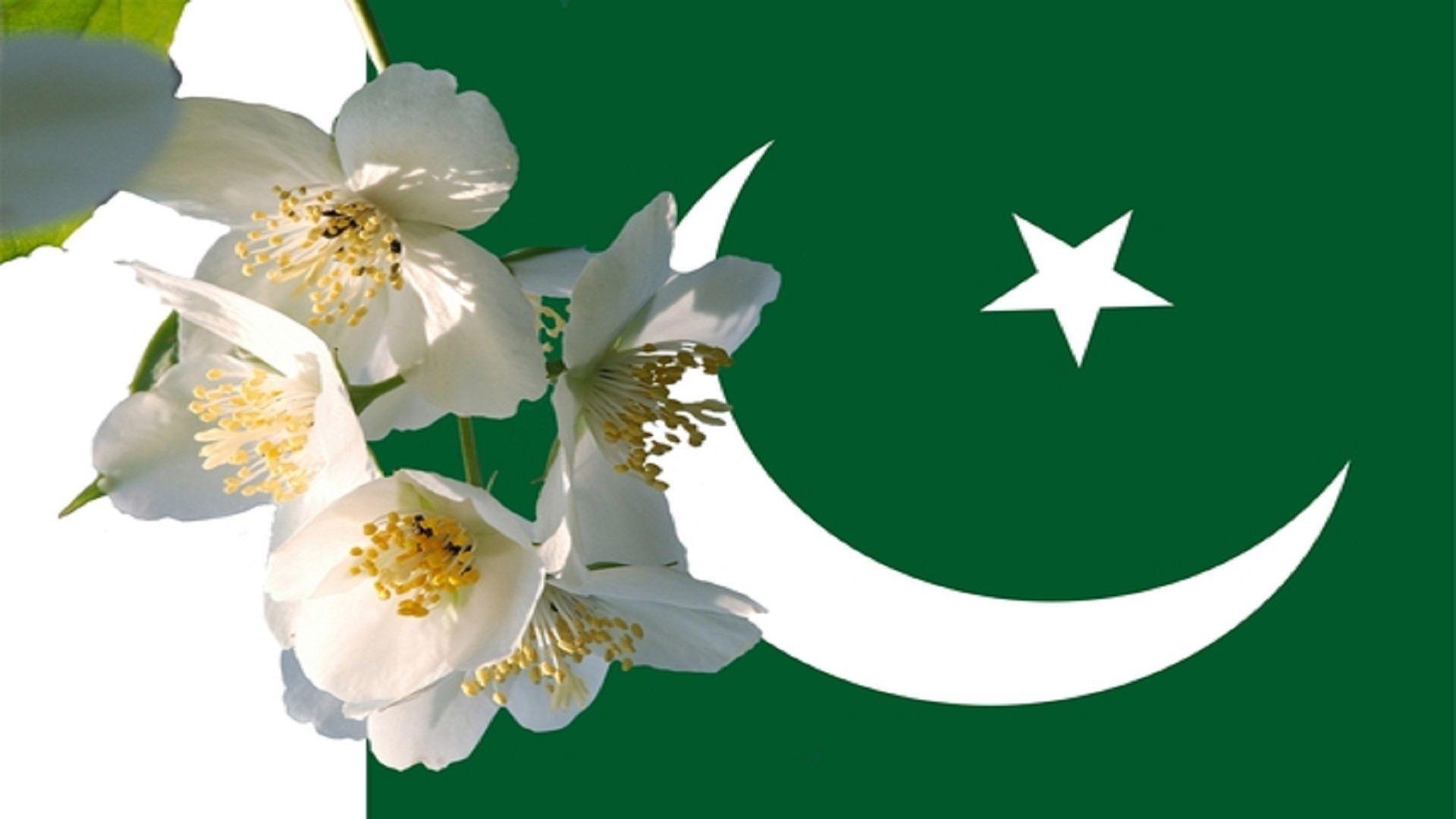 White Flowers With Pakistani Flag Free Wallpaper Hd