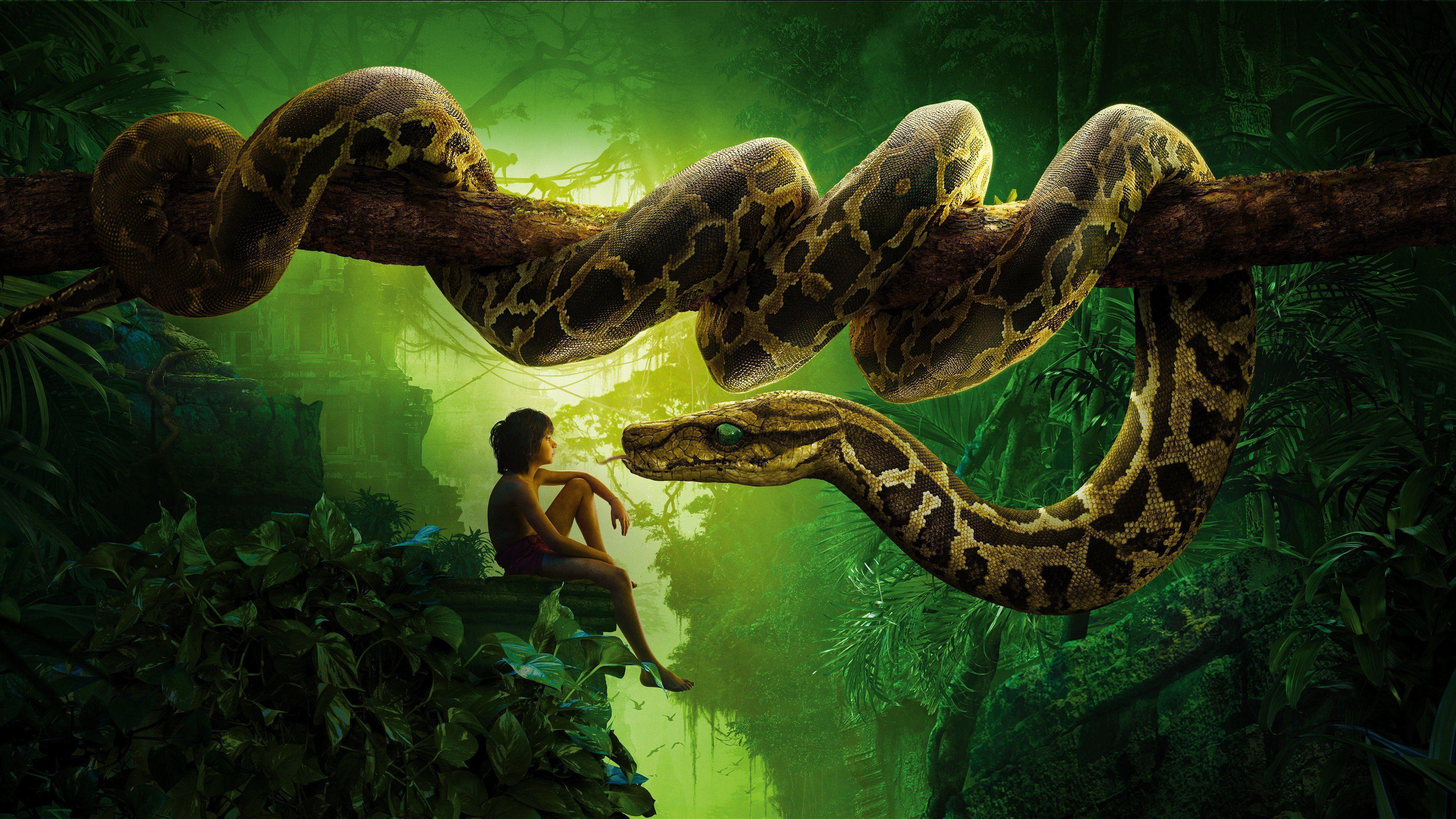 The Jungle Book (2016) HD Wallpaper. Background