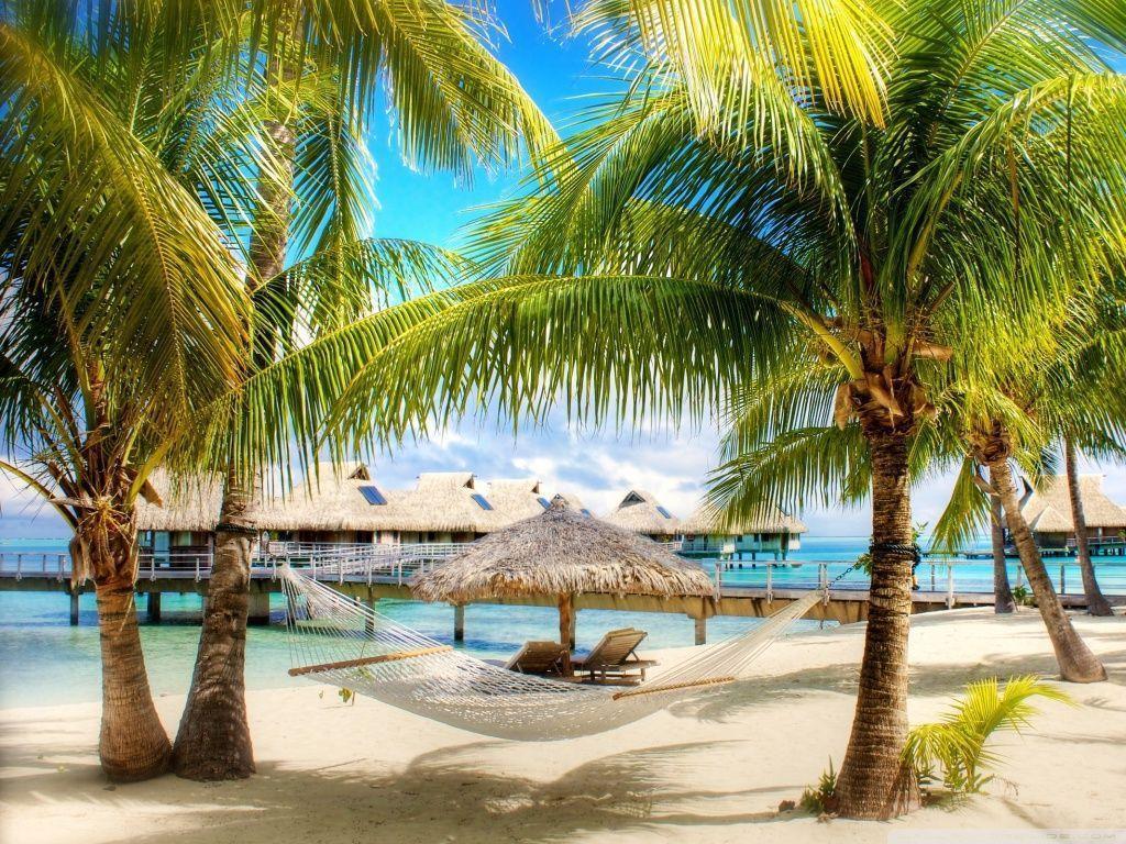 Tropical Beach Resort HD desktop wallpaper, High Definition