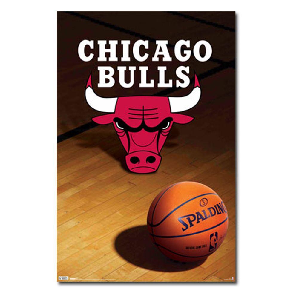 Chicago Bulls Logo Wallpaper HD 13894 Wallpaper Site