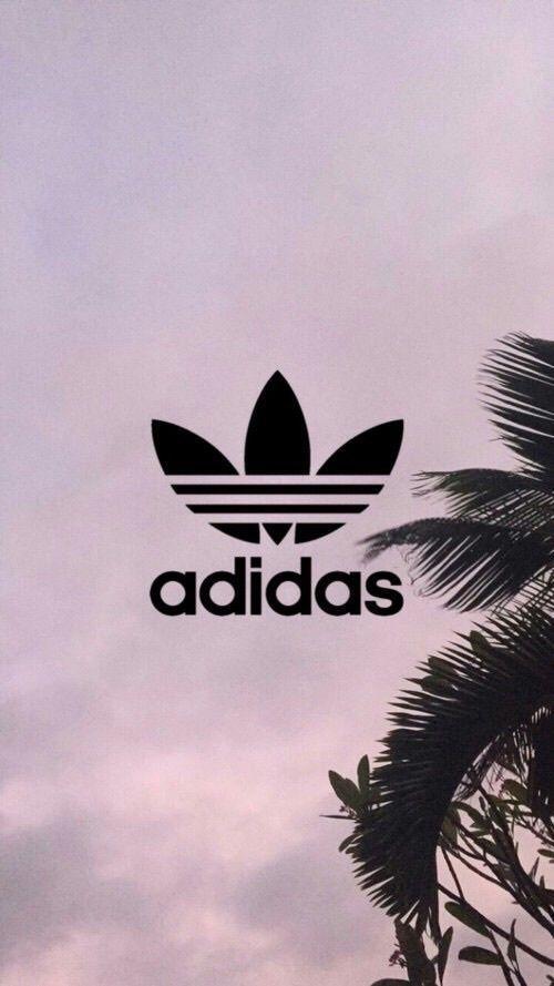 adidas, background, palm trees, wallpaper, adidas logo