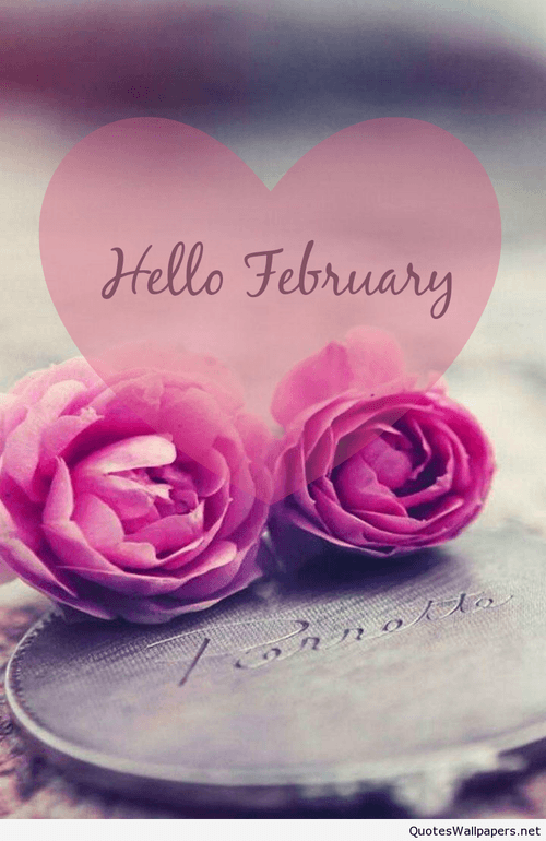 Love card mobile wallpaper Hello February 2016 on imgfave
