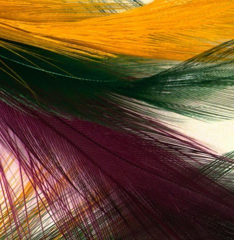 Colorful Peacock Feathers HD Wallpaper