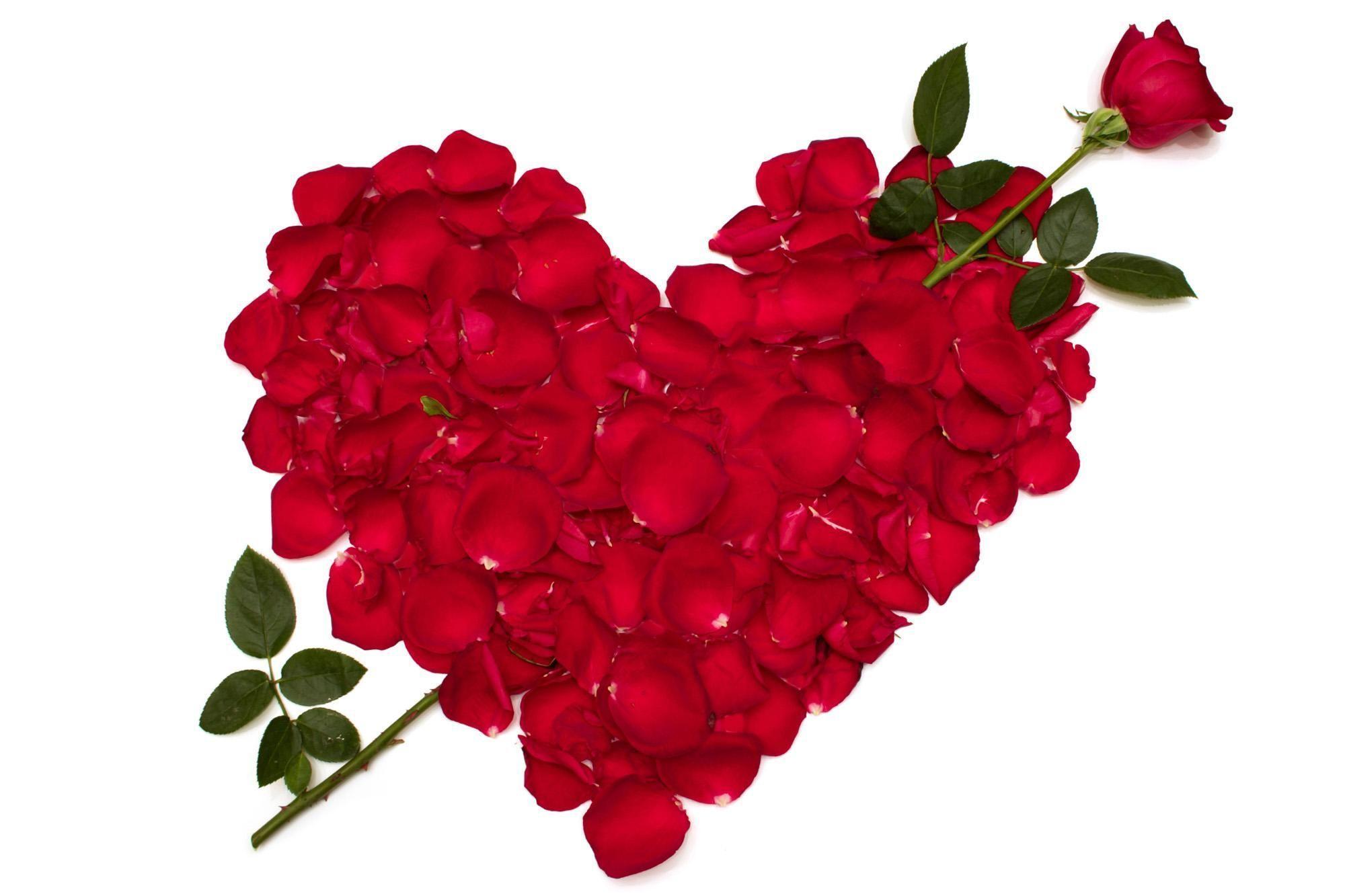 Red Roses & Love Heart Wallpaper