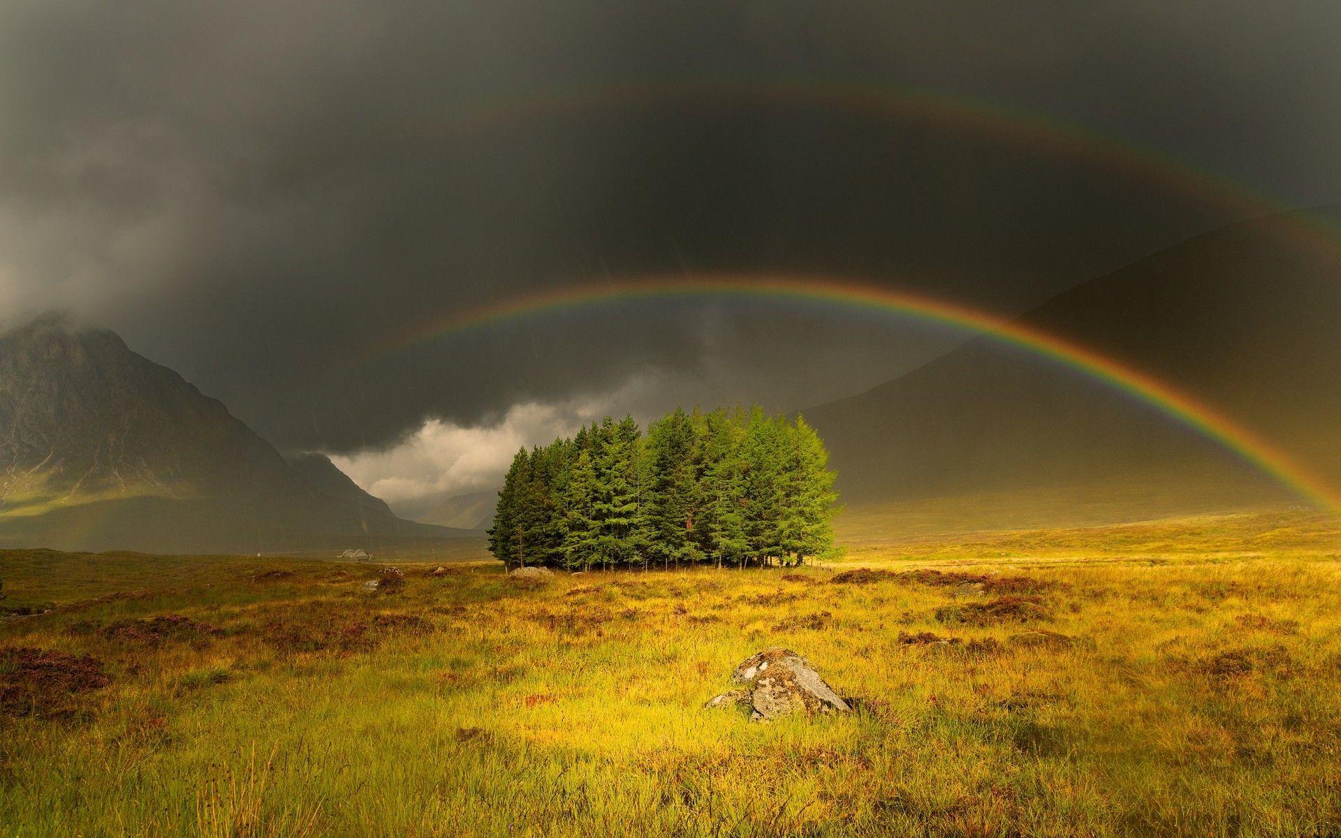 Rainbows: Rainbow Hills Grass Peaceful Tree Stormy Landscape Hill