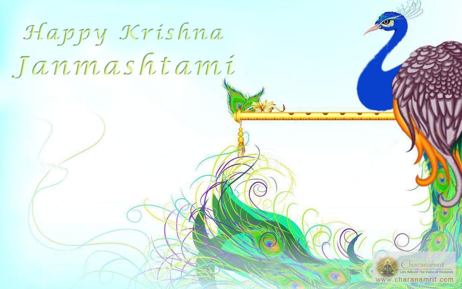 Krishna Janmashtami Stylish Peacock Feather HD Image Wallpaper