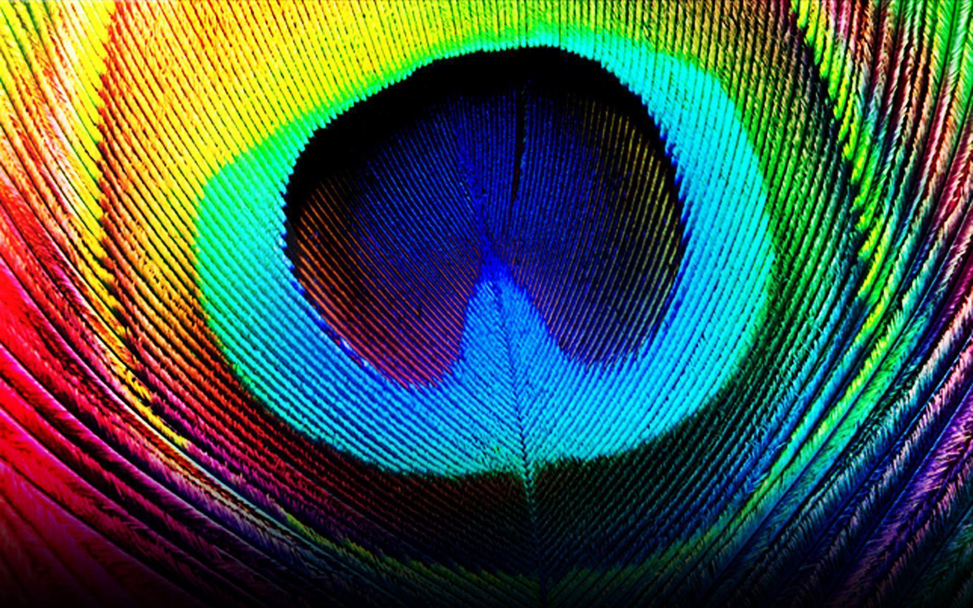 Peacock Feather Hd Wallpaper For Pc ~ Peacock Wallpaper Feathers