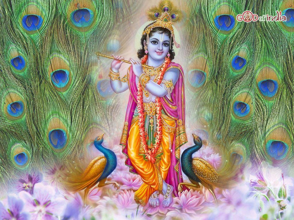 Happy Shri Krishna Janmashtami Wallpaper, Krishna Janmashtami HD
