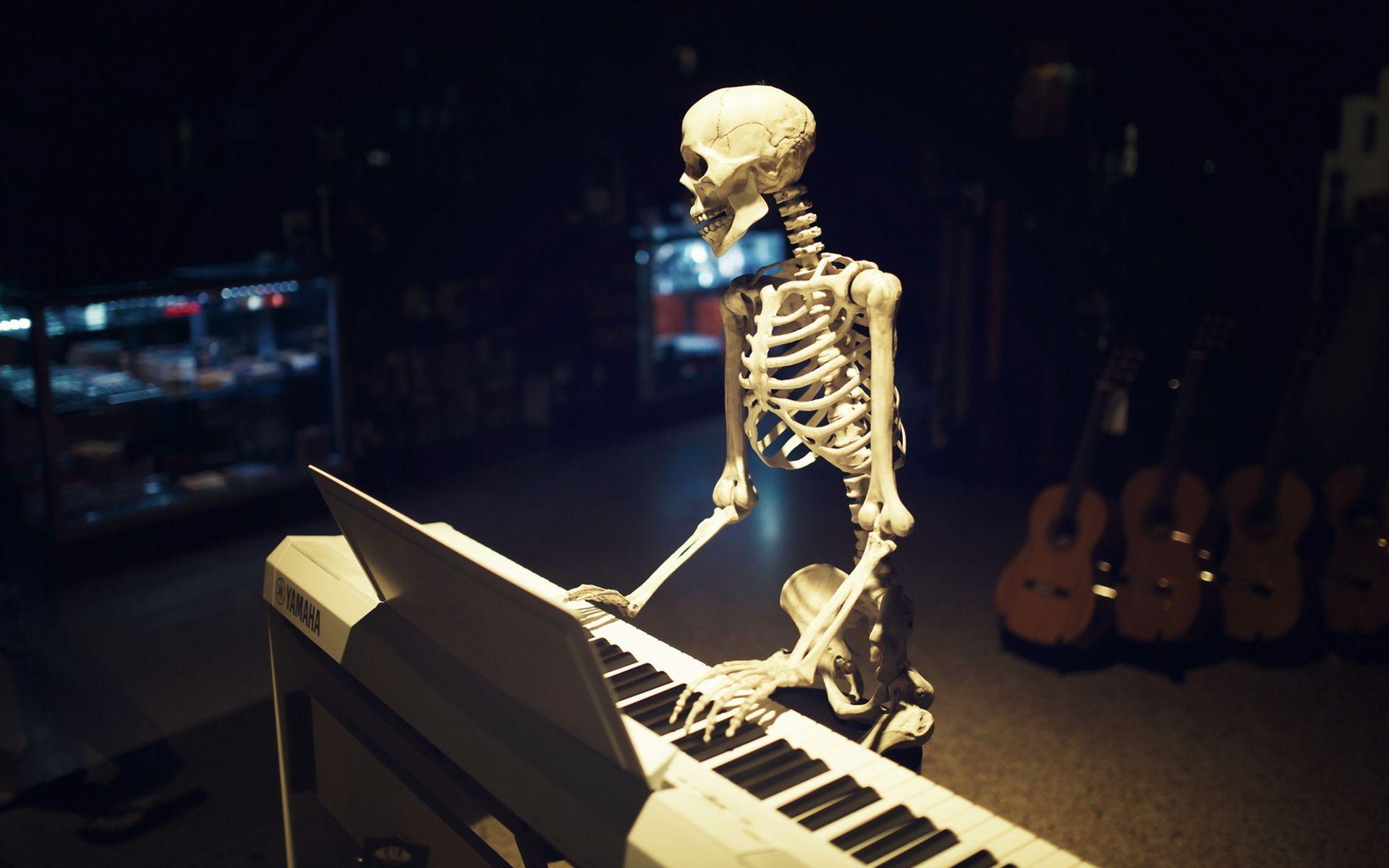 Funny Musicians Keyboard Playing Skeleton Wallpaper HD