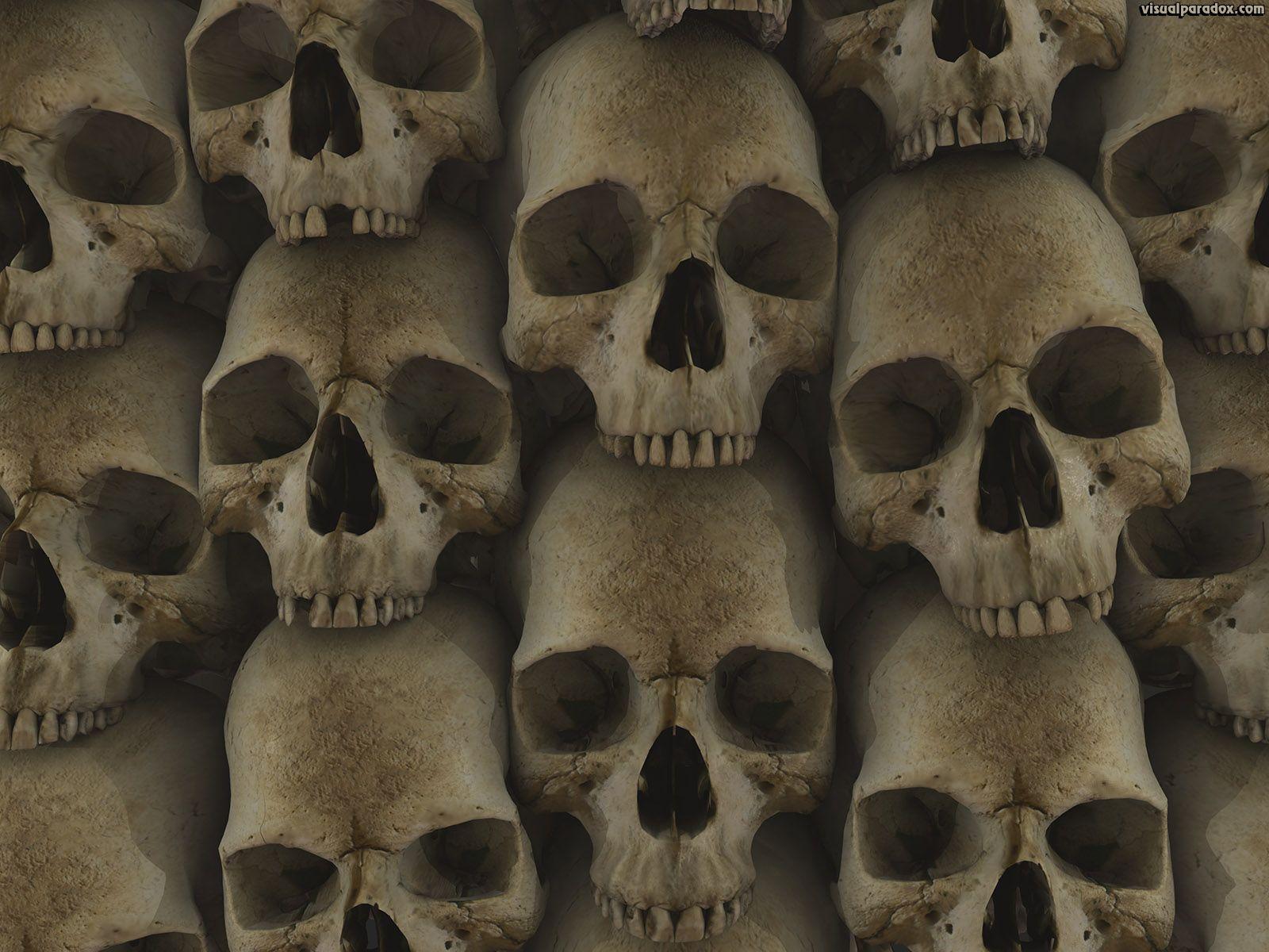 Free 3D Skull Wallpaper