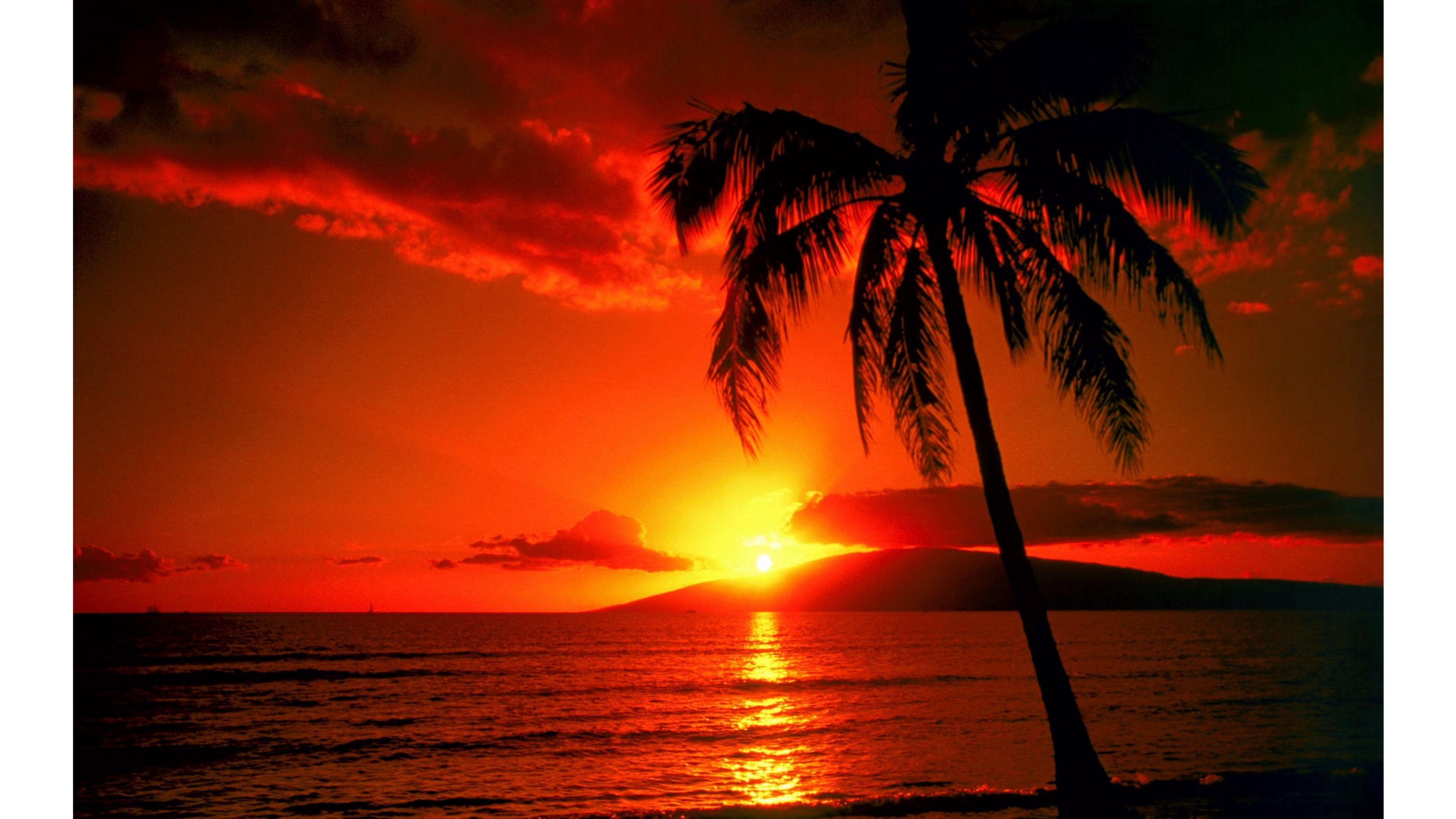 Tropical Sunset 4k UHD Free Desktop Wallpaper