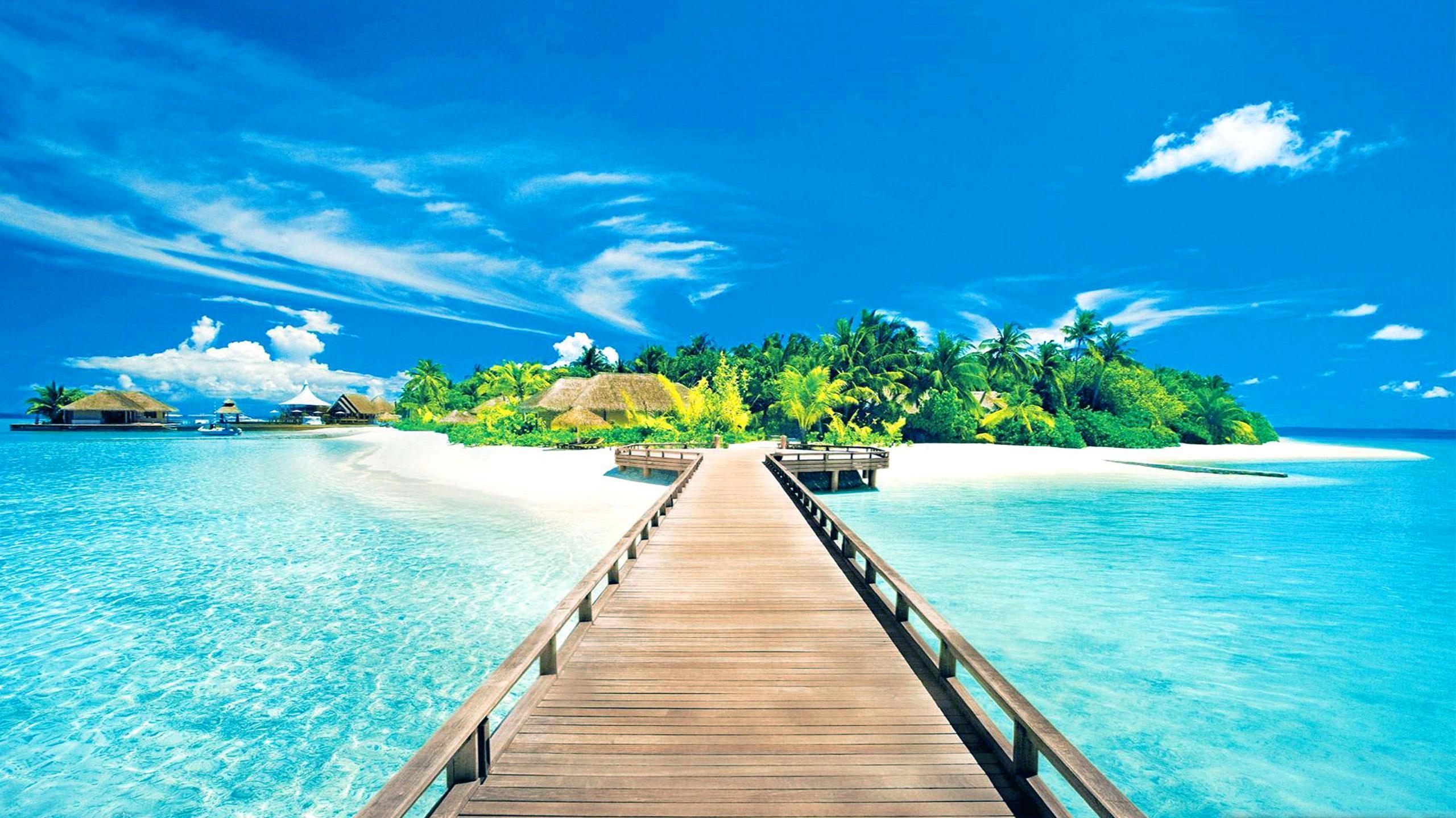 Tropical Island Paradise Background