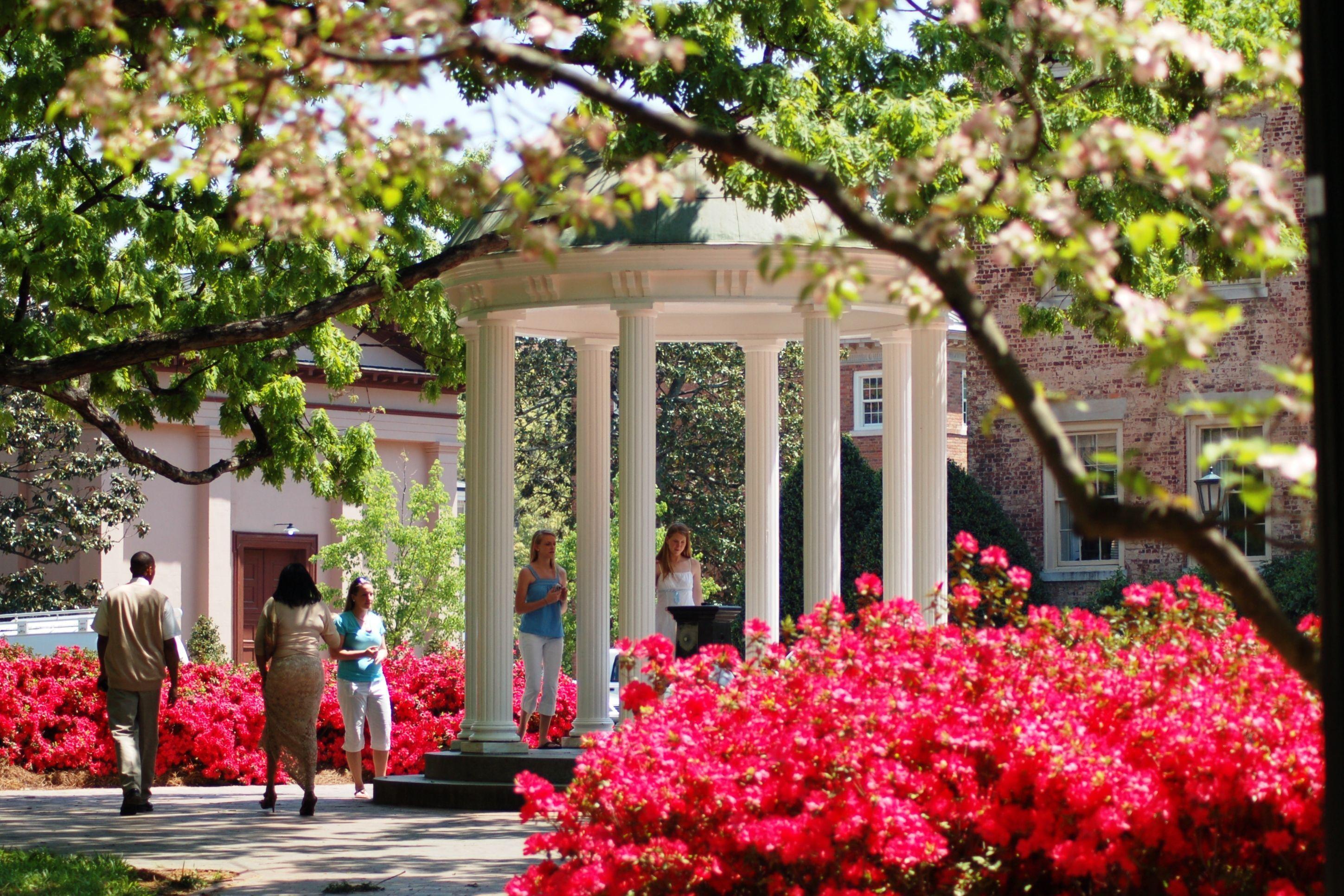 Unc chapel hill essay