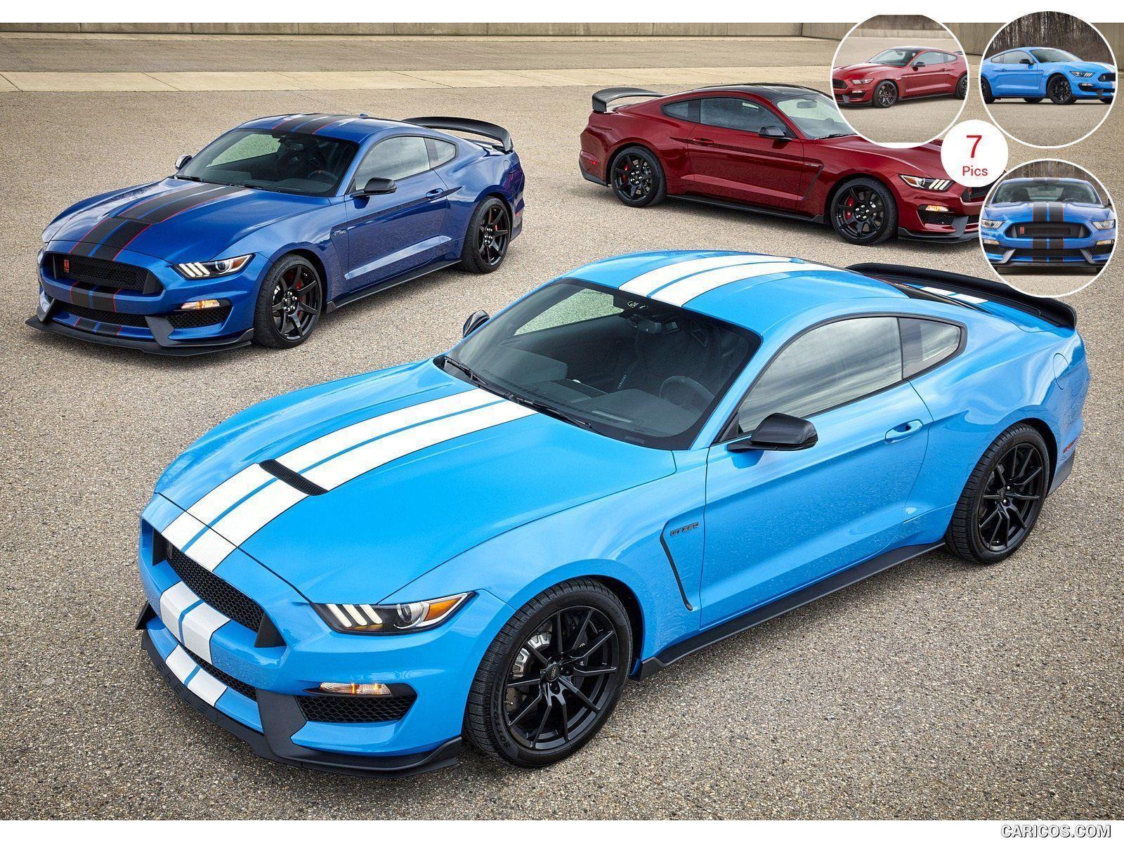 Ford Mustang Shelby GT350 and GT350R. HD Wallpaper