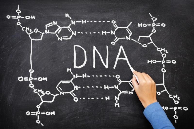 image about Tradeshow Ideas. Dna, Human