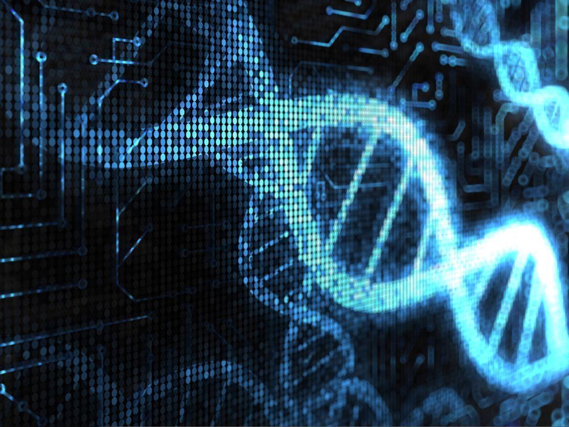 image about DNA. Dna, Fingerprints and Technology