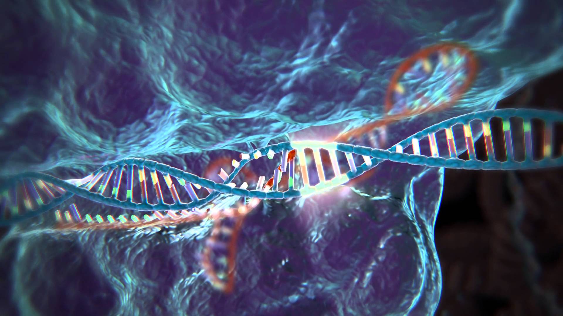 Chinese team to pioneer first human CRISPR trial. Chinese