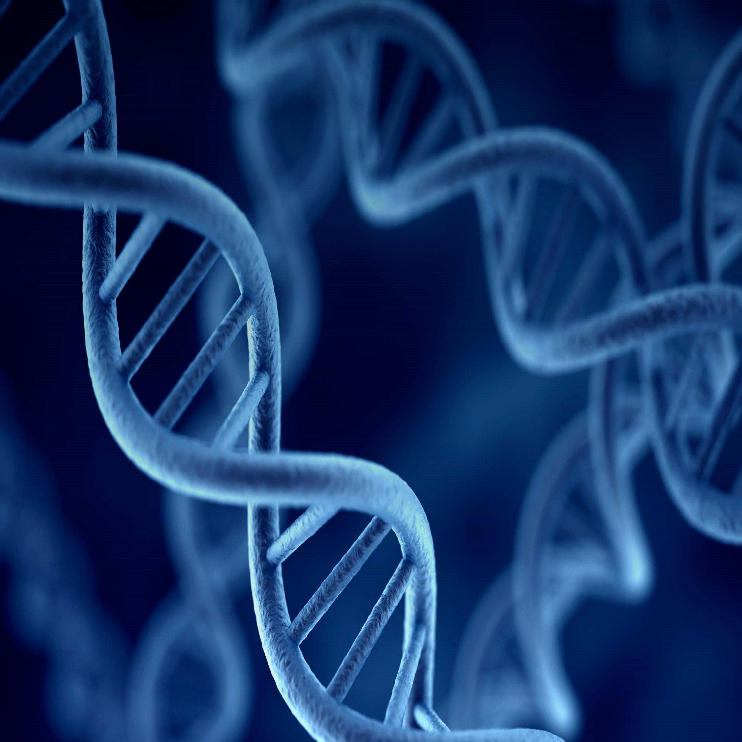 Scientists Have Completed The First Successful Gene Therapy