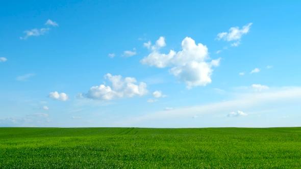 Play preview video Natural Background. Field With Wheat Germ. Cloudscape In. Day Background