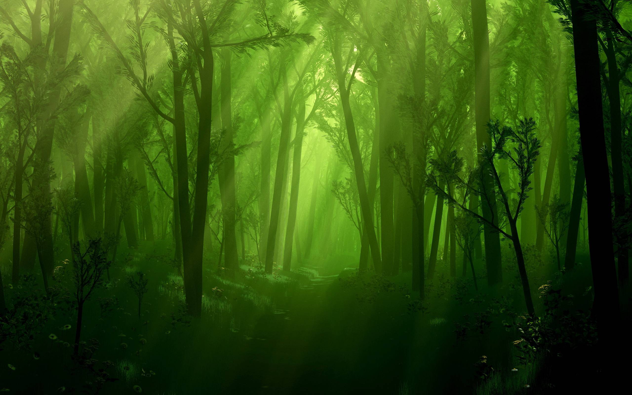 Dark enchanted forest Wallpaper