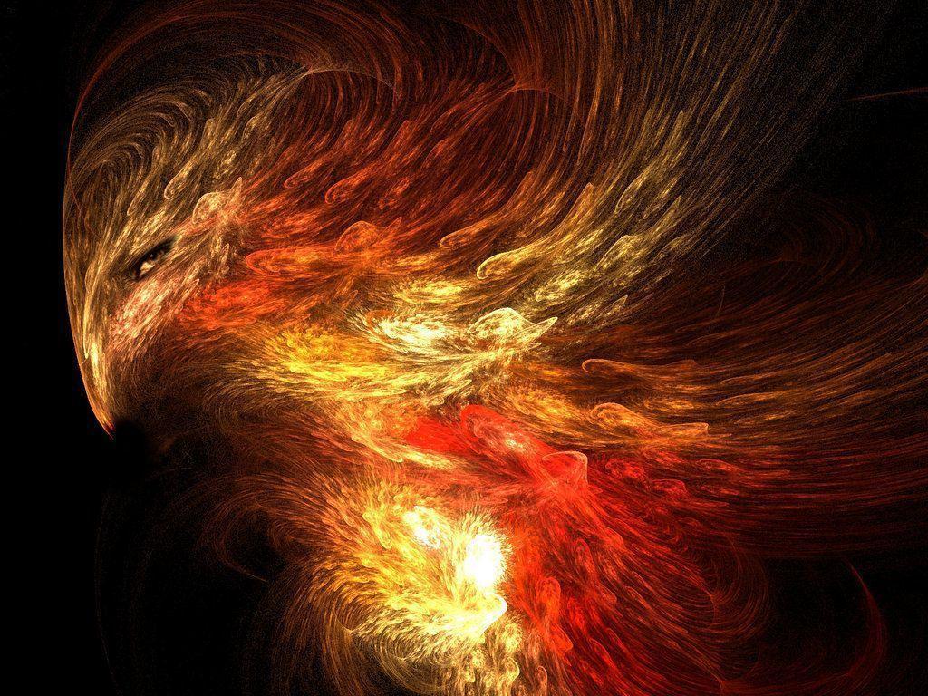 Phoenix The Fire Bird By S T P